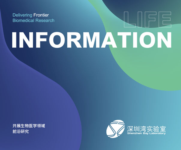 vi設計包括什么_vi設計的全面解析