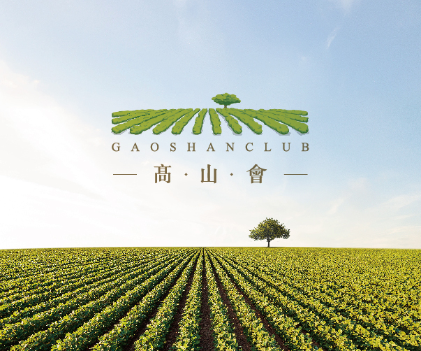濱州十大品牌設計公司_濱州十大設計公司_專業品牌設計服務